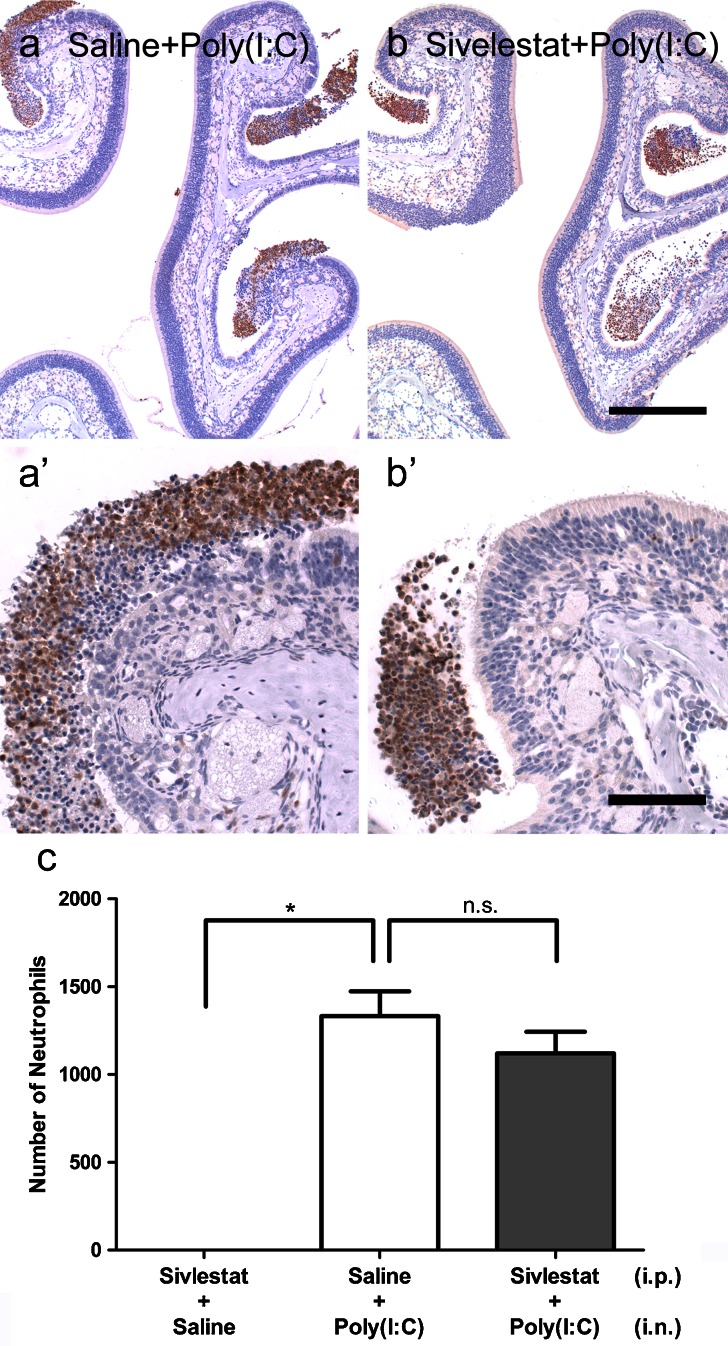 Fig. 13