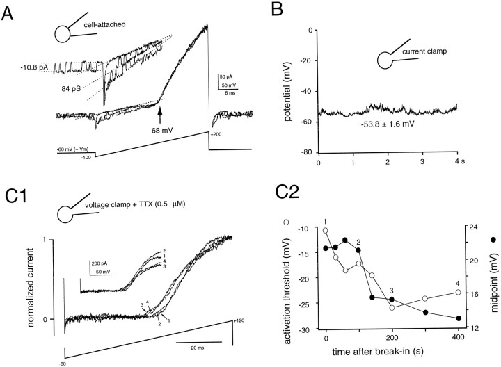 Fig. 3.