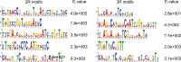 Supplementary Fig. S4