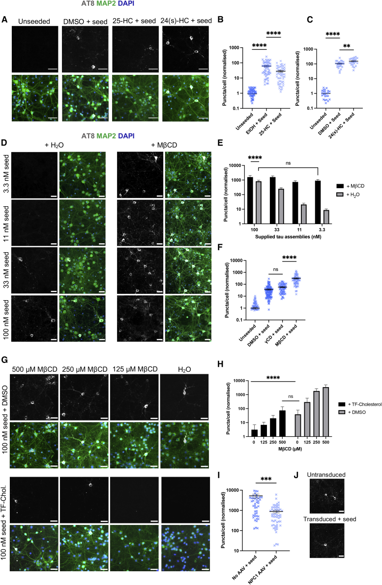 Figure 6