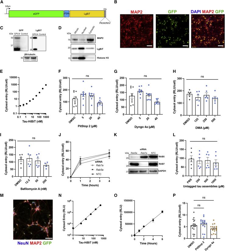 Figure 4