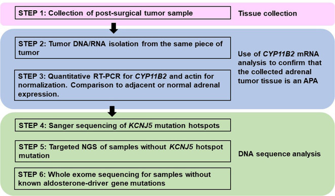 Figure 3