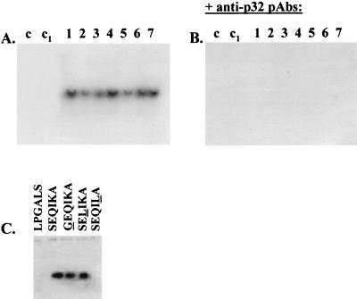 FIG. 7.