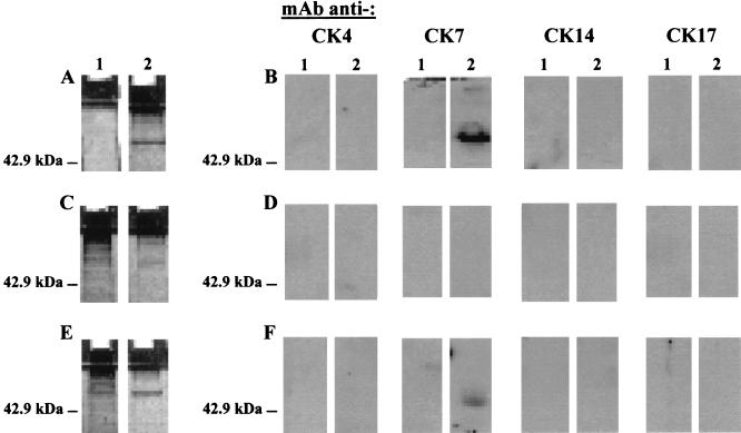 FIG. 9.