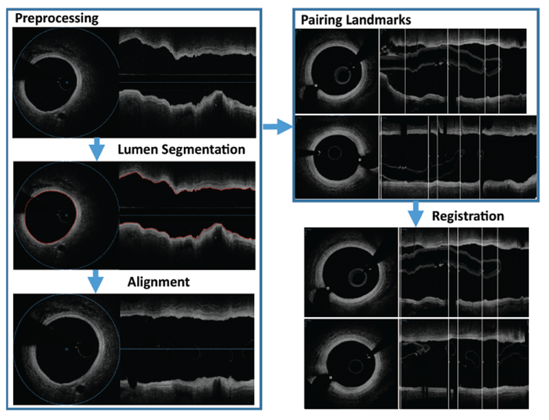 Figure 2: