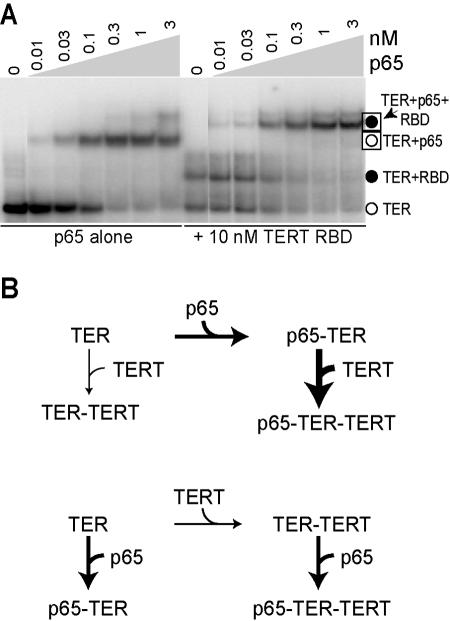 FIG. 7.