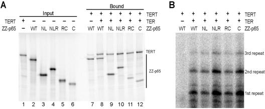 FIG. 4.