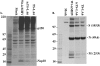 FIG. 6.