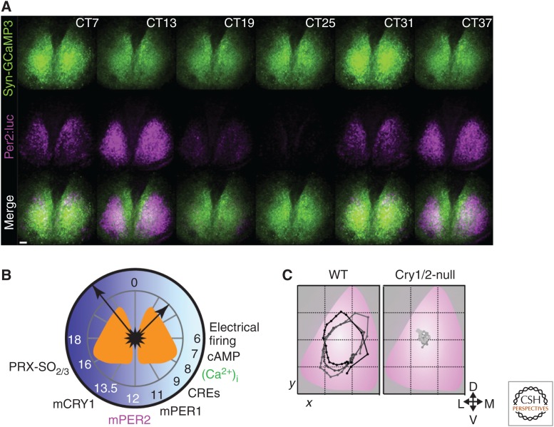 Figure 3.