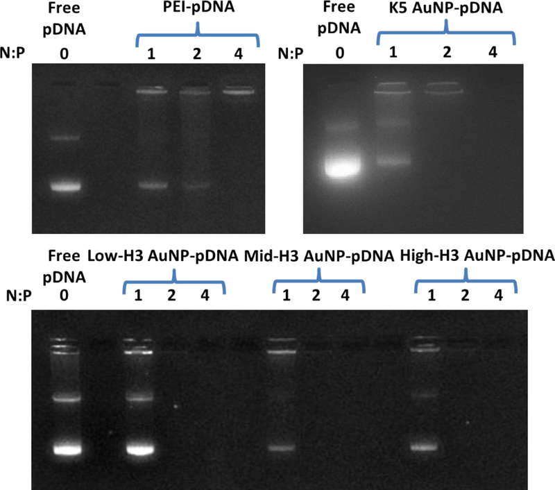 Figure 6: