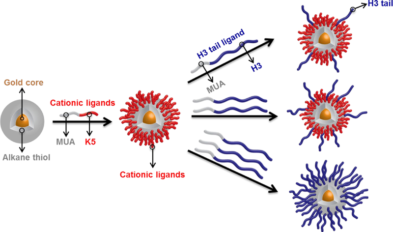 Figure 2: