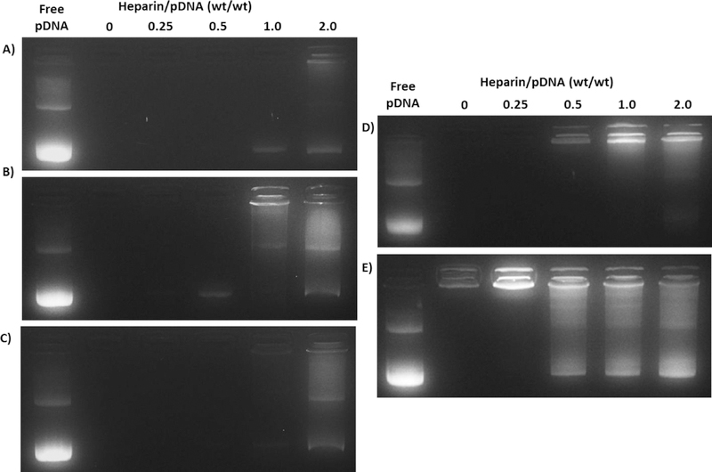 Figure 7: