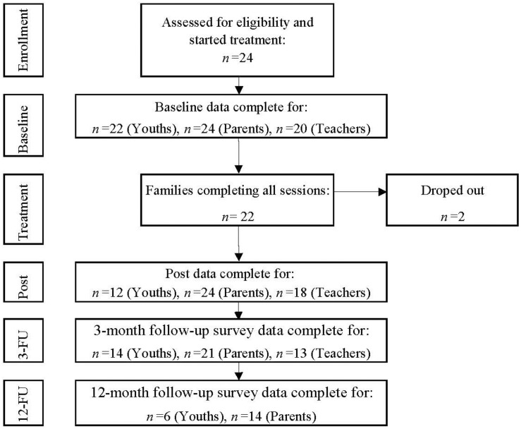 FIGURE 1