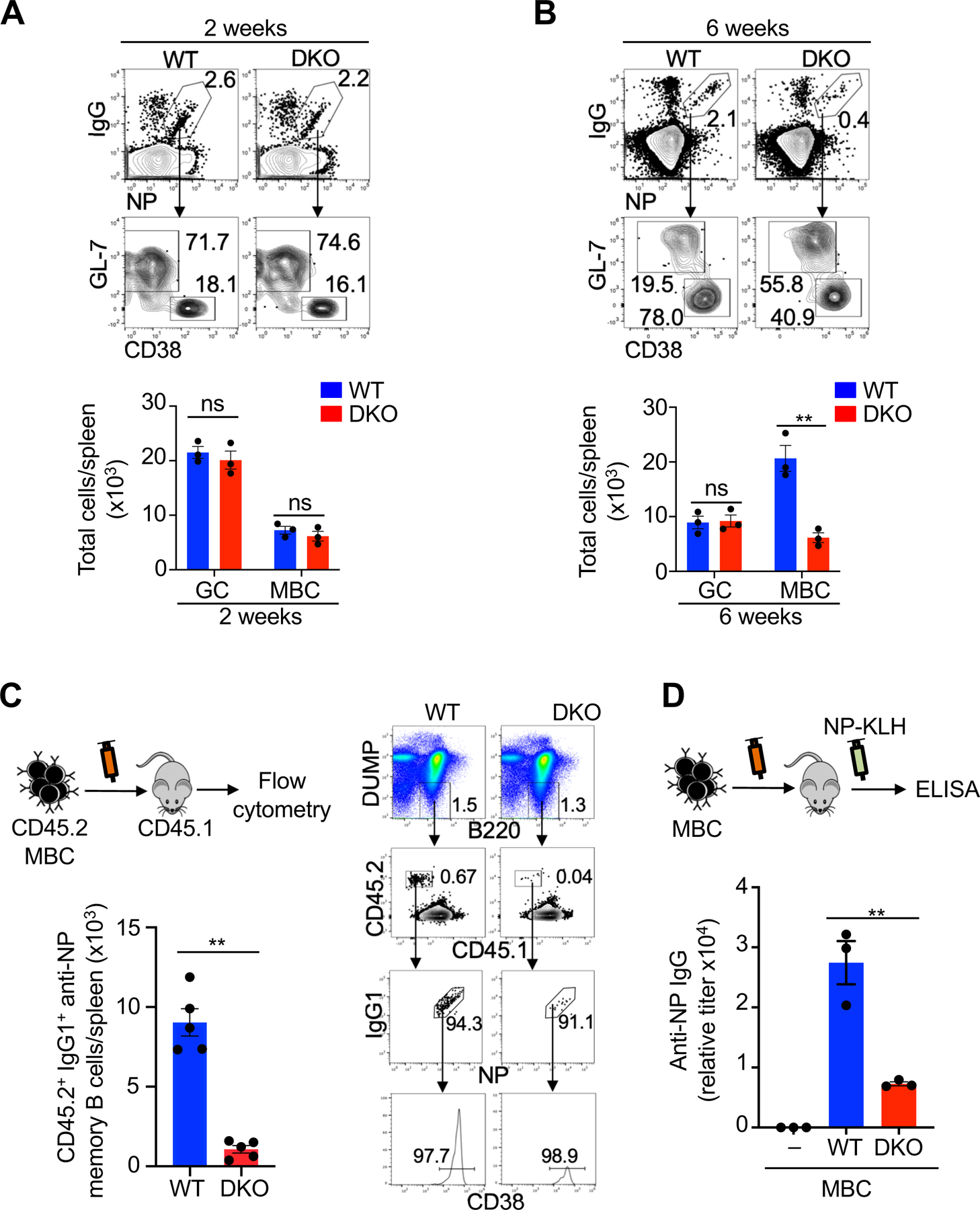 FIGURE 2.