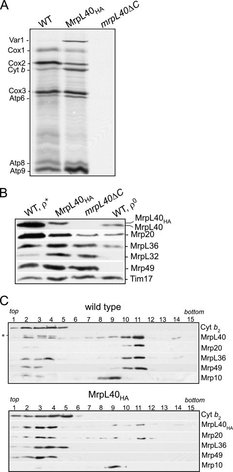 FIG. 5.