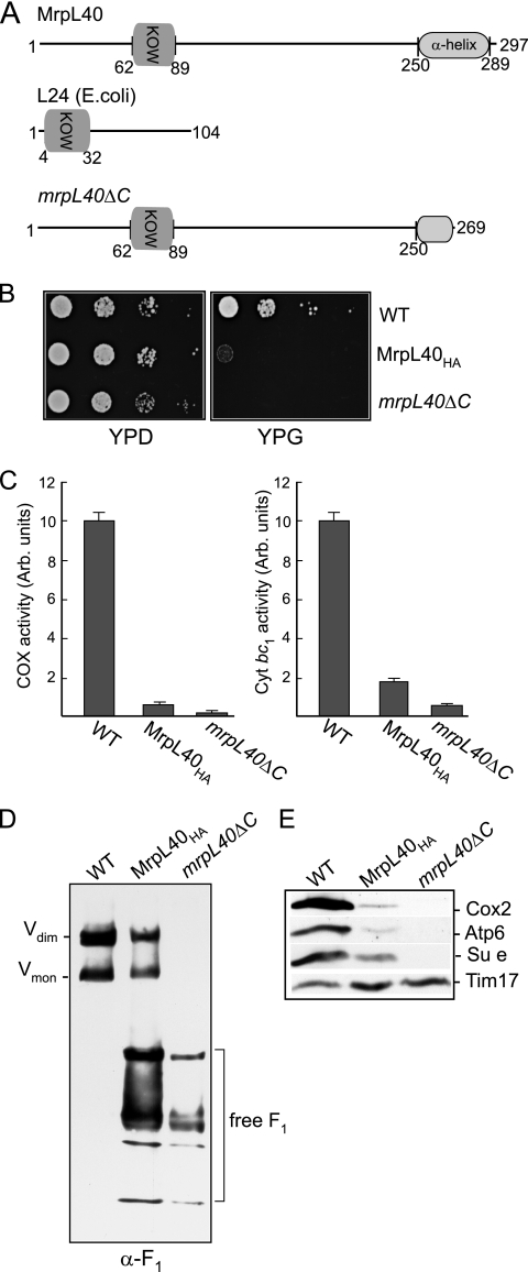 FIG. 4.