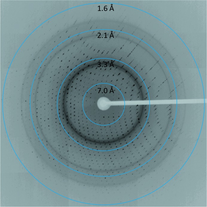 Figure 2