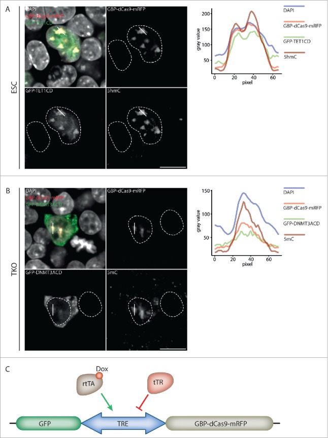 Figure 2.