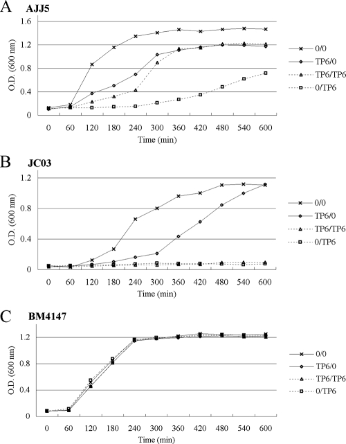 FIG. 2.