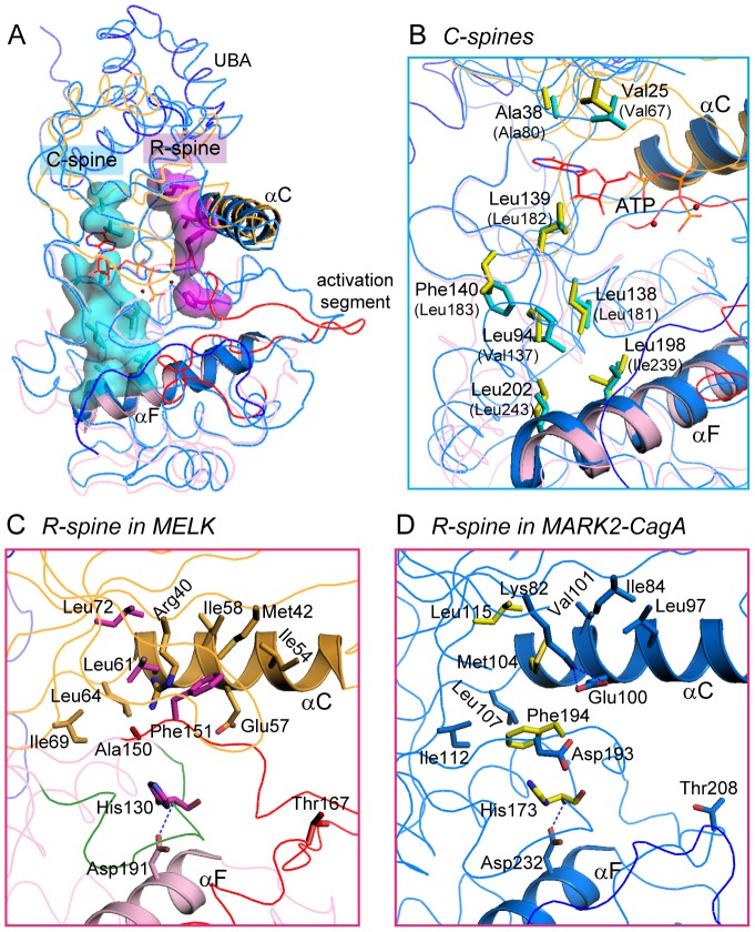 Figure 6