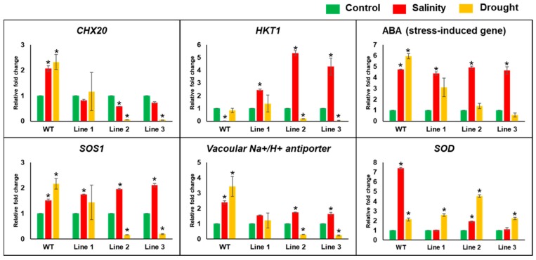 Figure 10