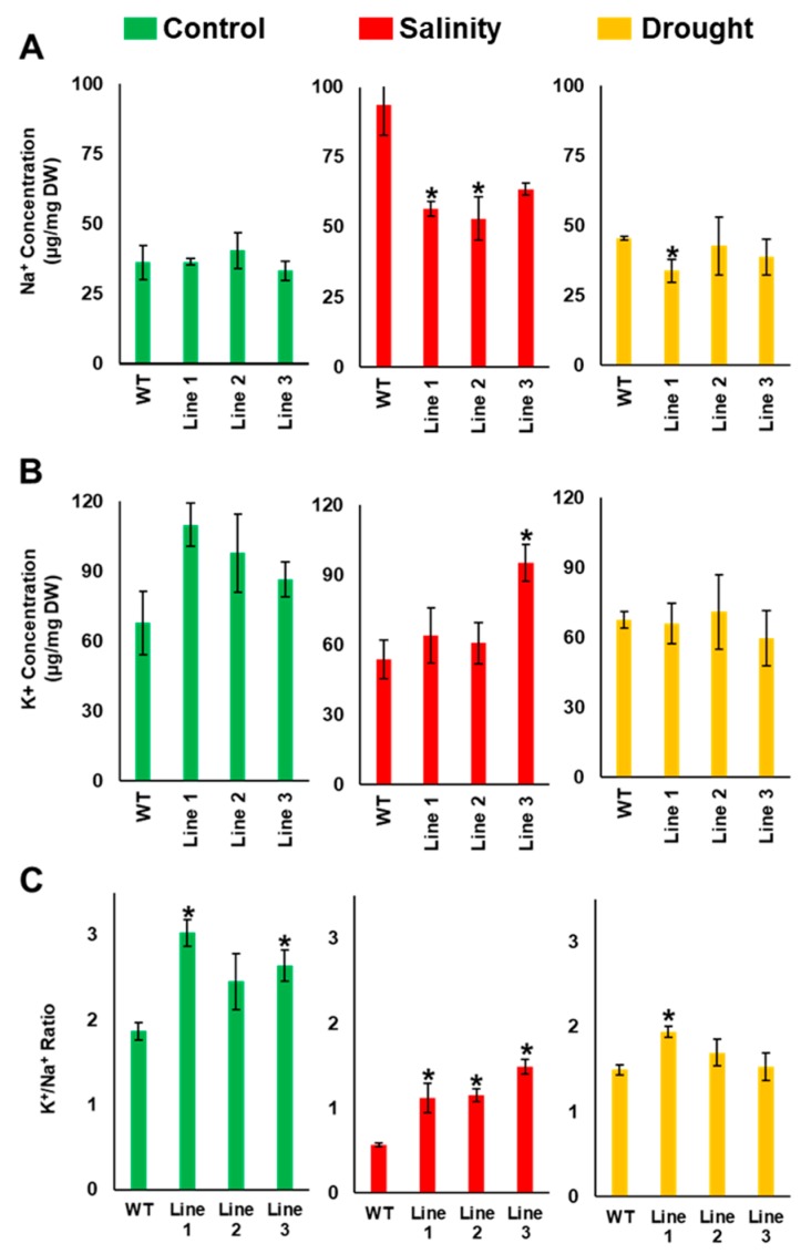 Figure 6