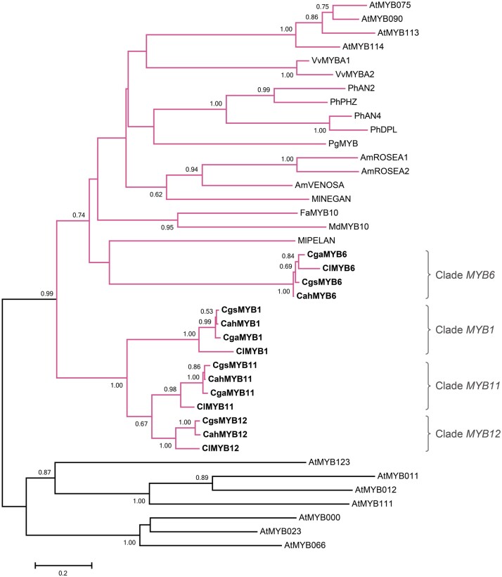 Fig. 3.