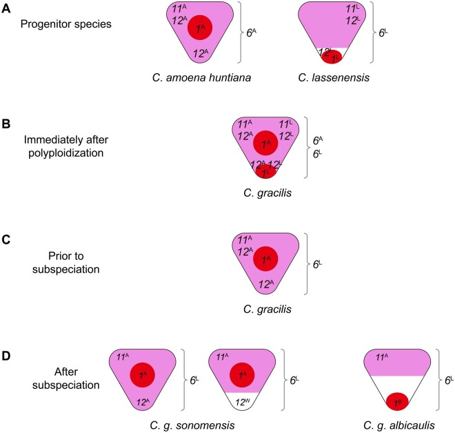 Fig. 5.