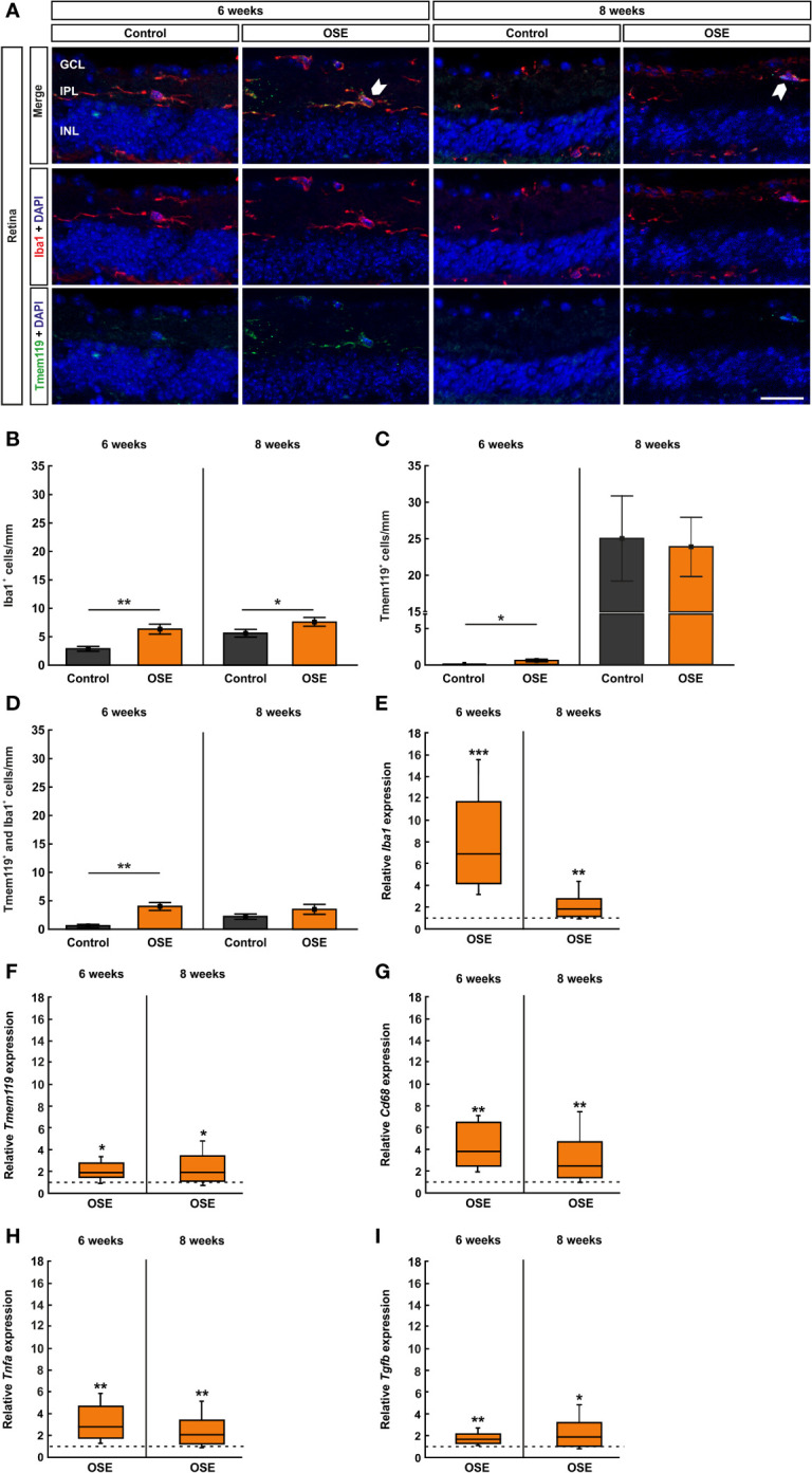 Figure 6