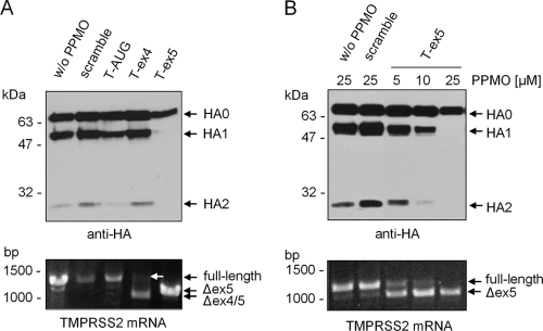 FIG. 4.