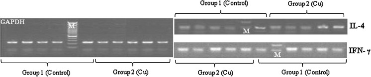 Fig. 5