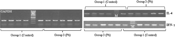 Fig. 6