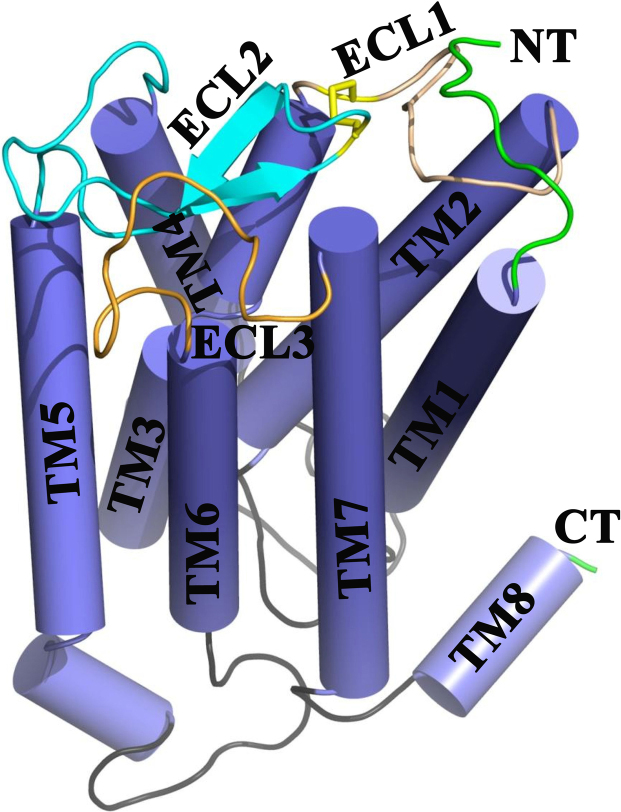 Fig. 3