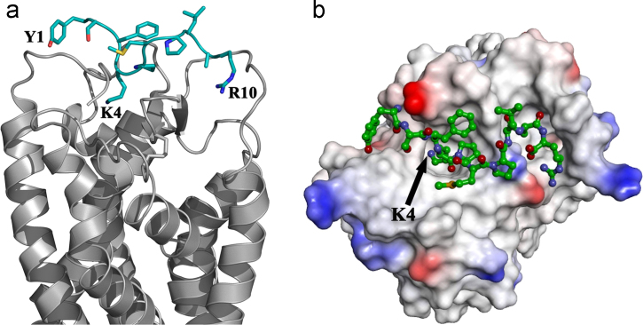 Fig. 4