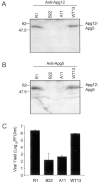 F<sc>ig</sc>. 5