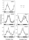 FIG. 4