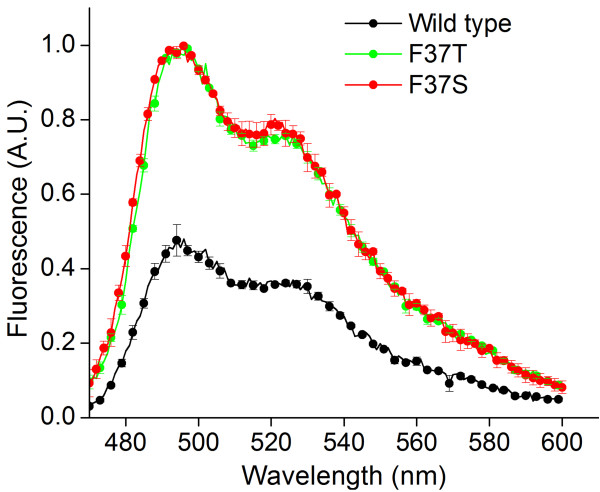 Figure 5