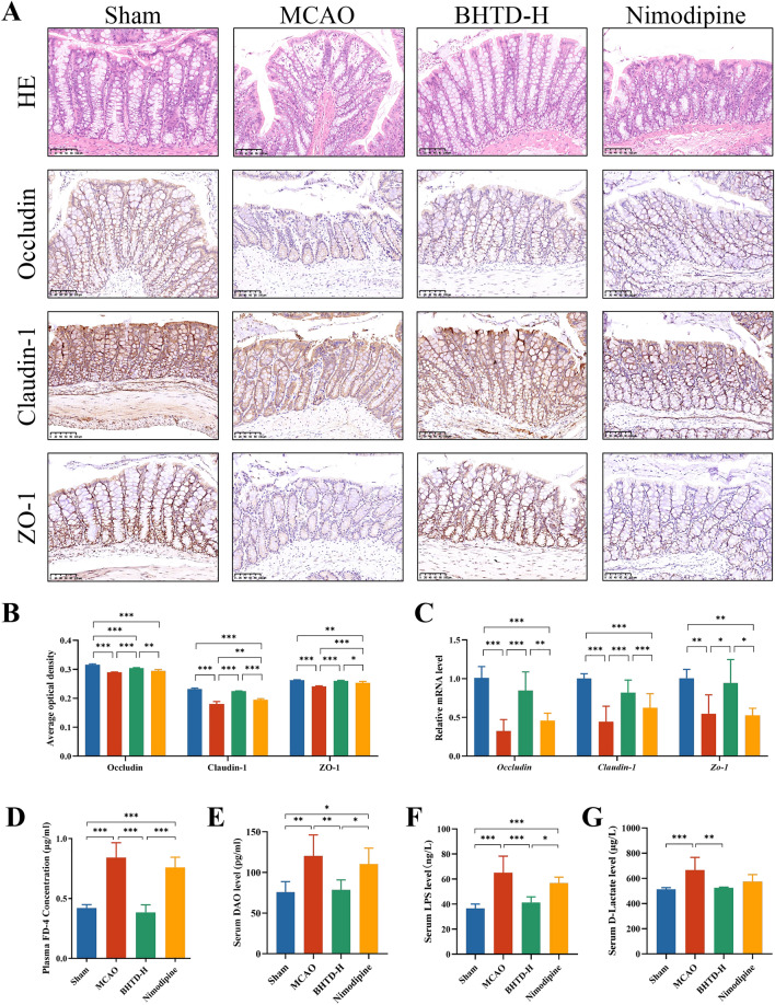 Fig.3