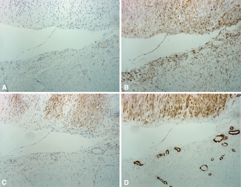 Fig. 3A–D