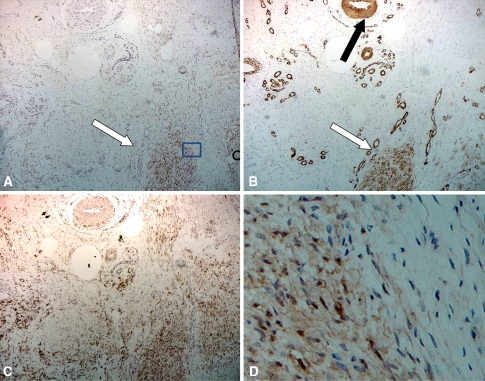 Fig. 2A–D