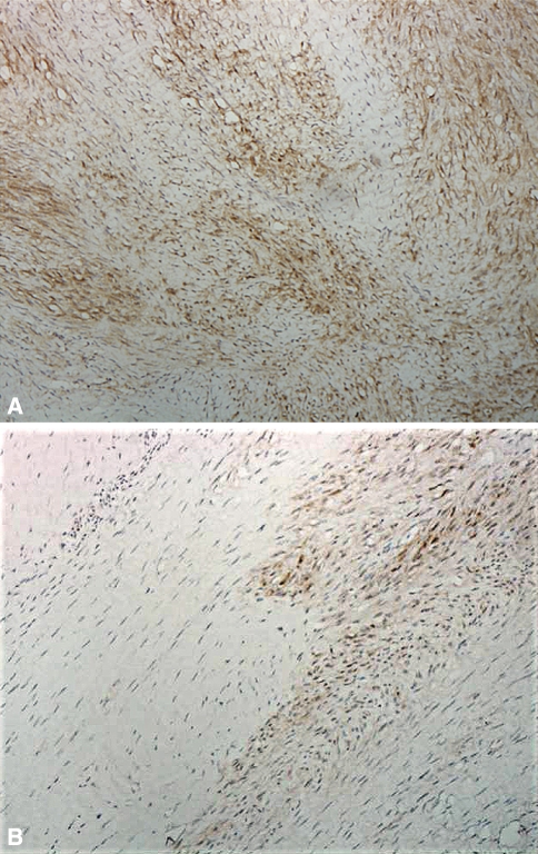 Fig. 1A–B