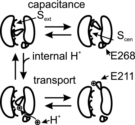 FIGURE 7.