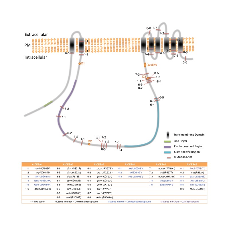 Figure 2.