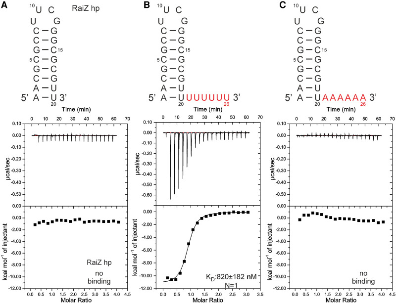 FIGURE 7.