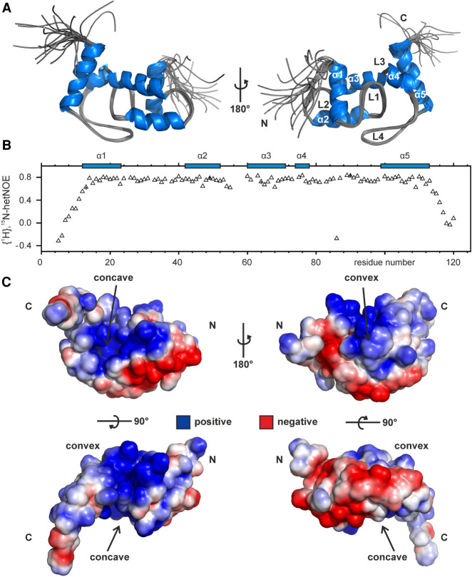 FIGURE 2.