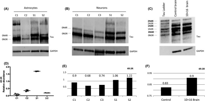 FIGURE 2