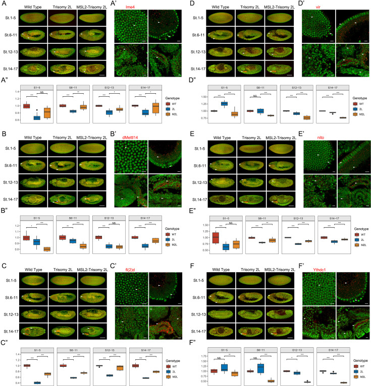 Figure 1—figure supplement 2.