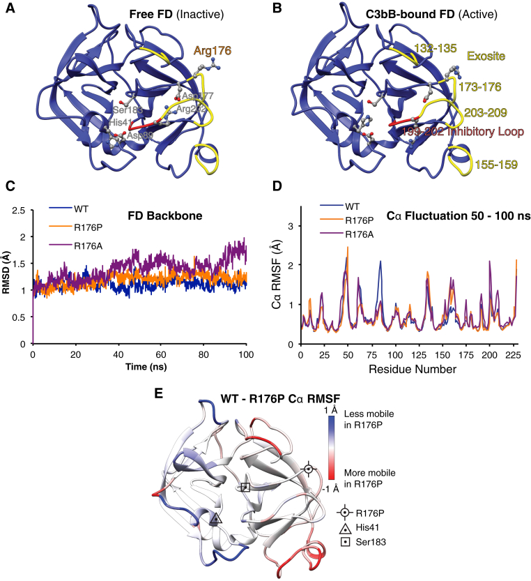 Fig E2