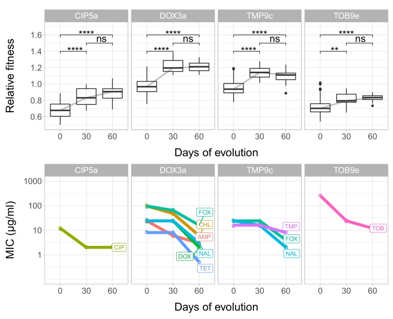 Figure 4—figure supplement 1.