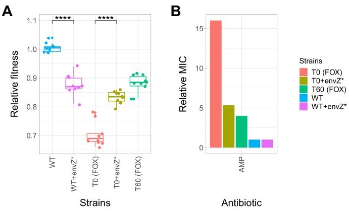 Figure 5—figure supplement 2.